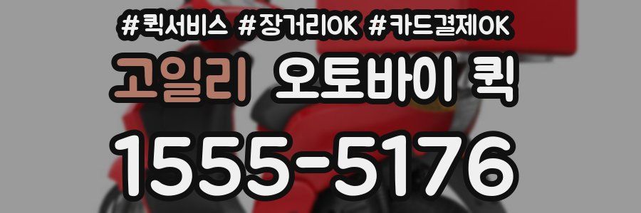 고일리 오토바이 퀵