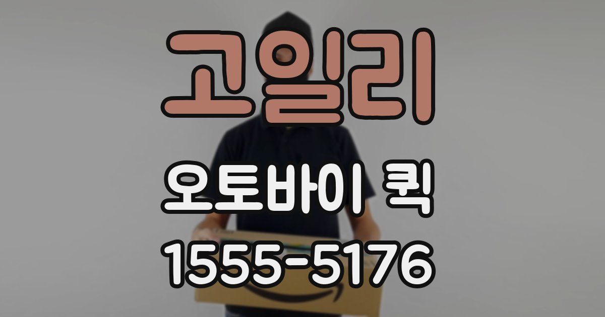 고일리 오토바이 퀵