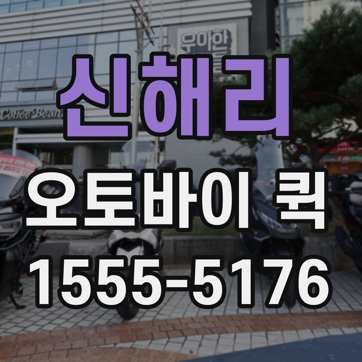 신해리 오토바이 퀵