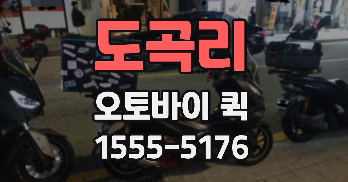 도곡리 오토바이 퀵