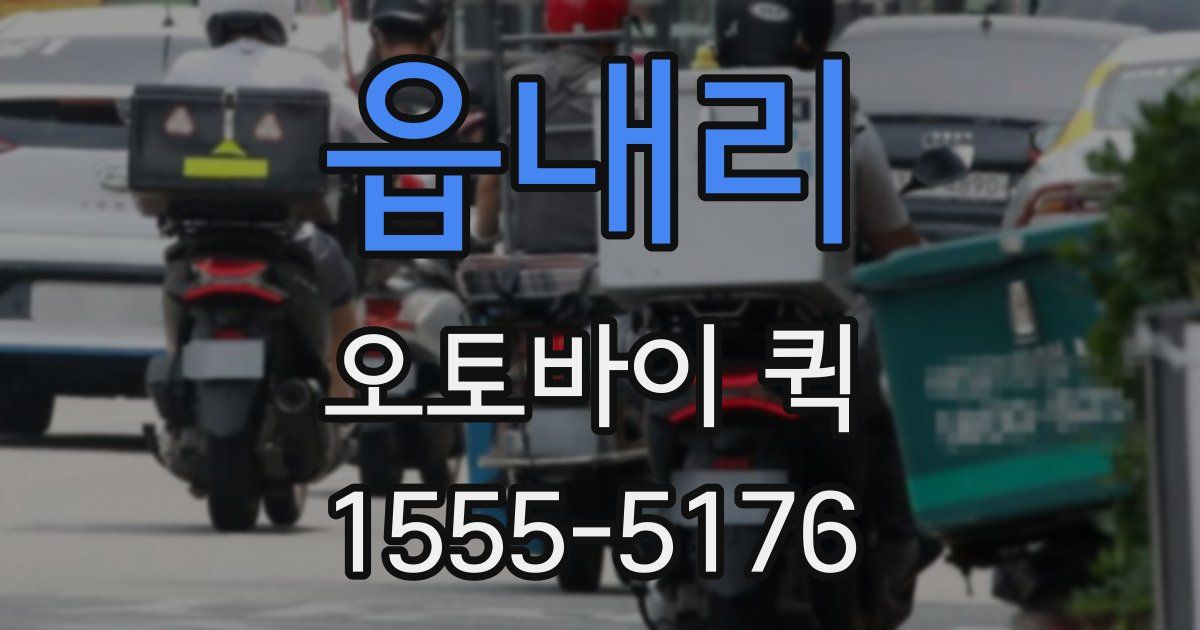 읍내리 오토바이 퀵