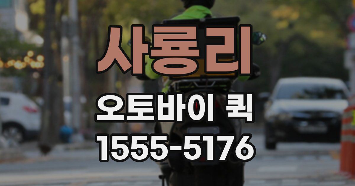 사룡리 오토바이 퀵