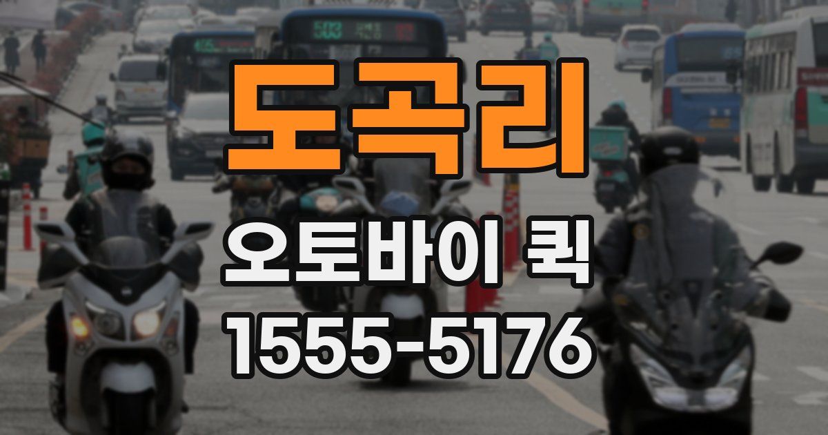 도곡리 오토바이 퀵