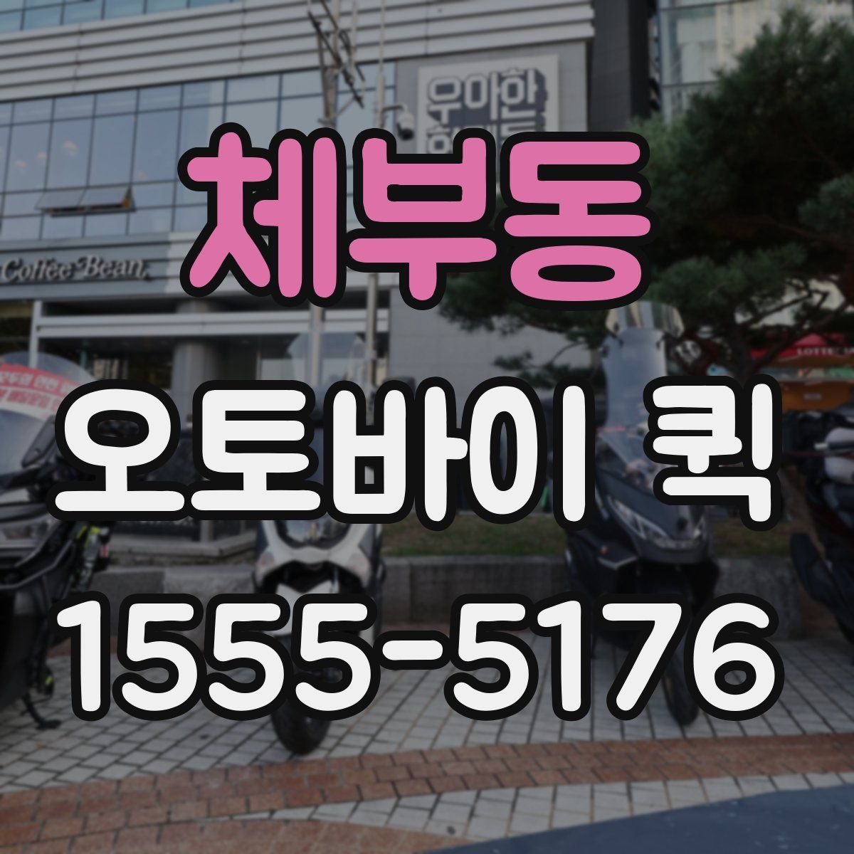 체부동 오토바이 퀵