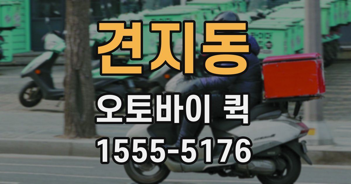 견지동 오토바이 퀵