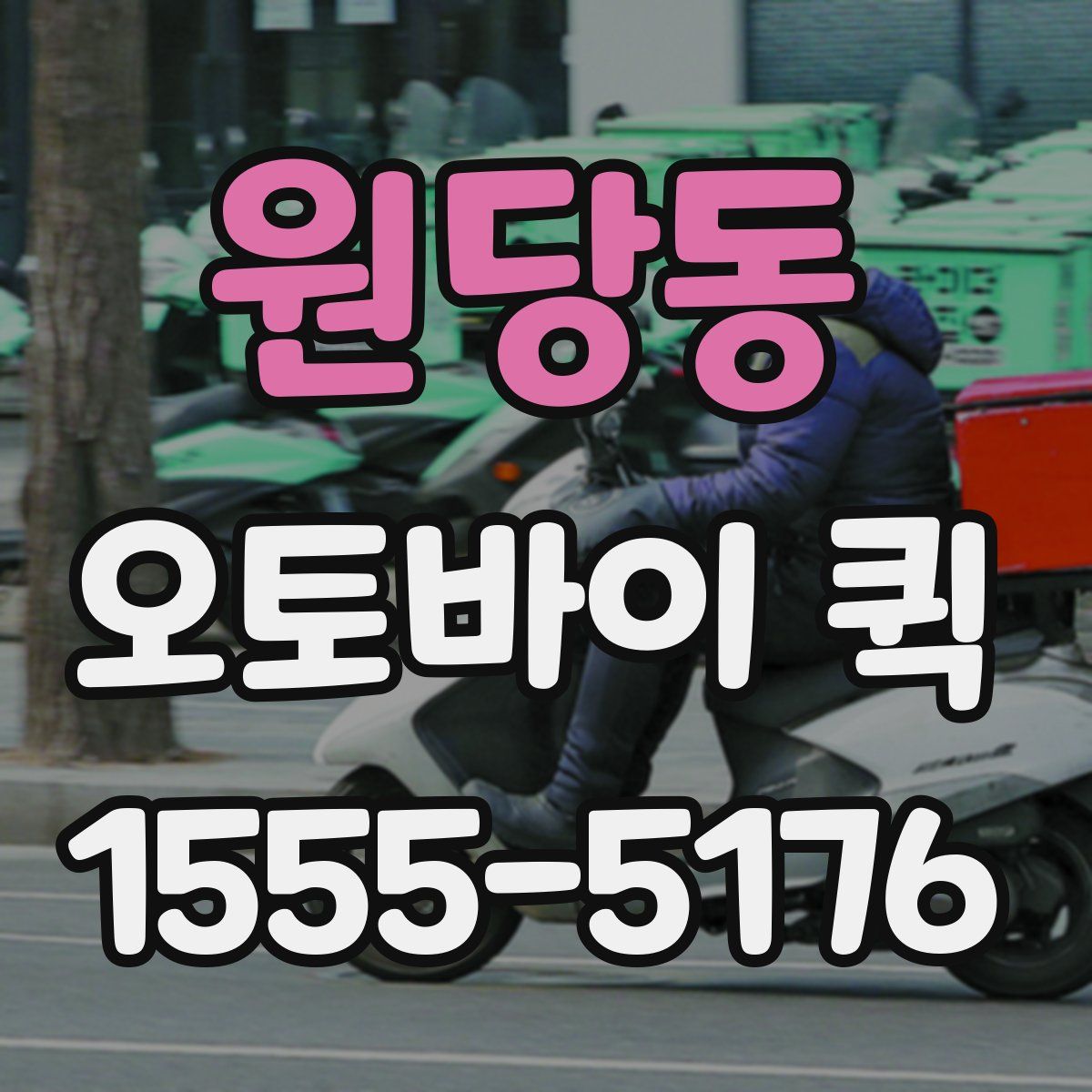 원당동 오토바이 퀵