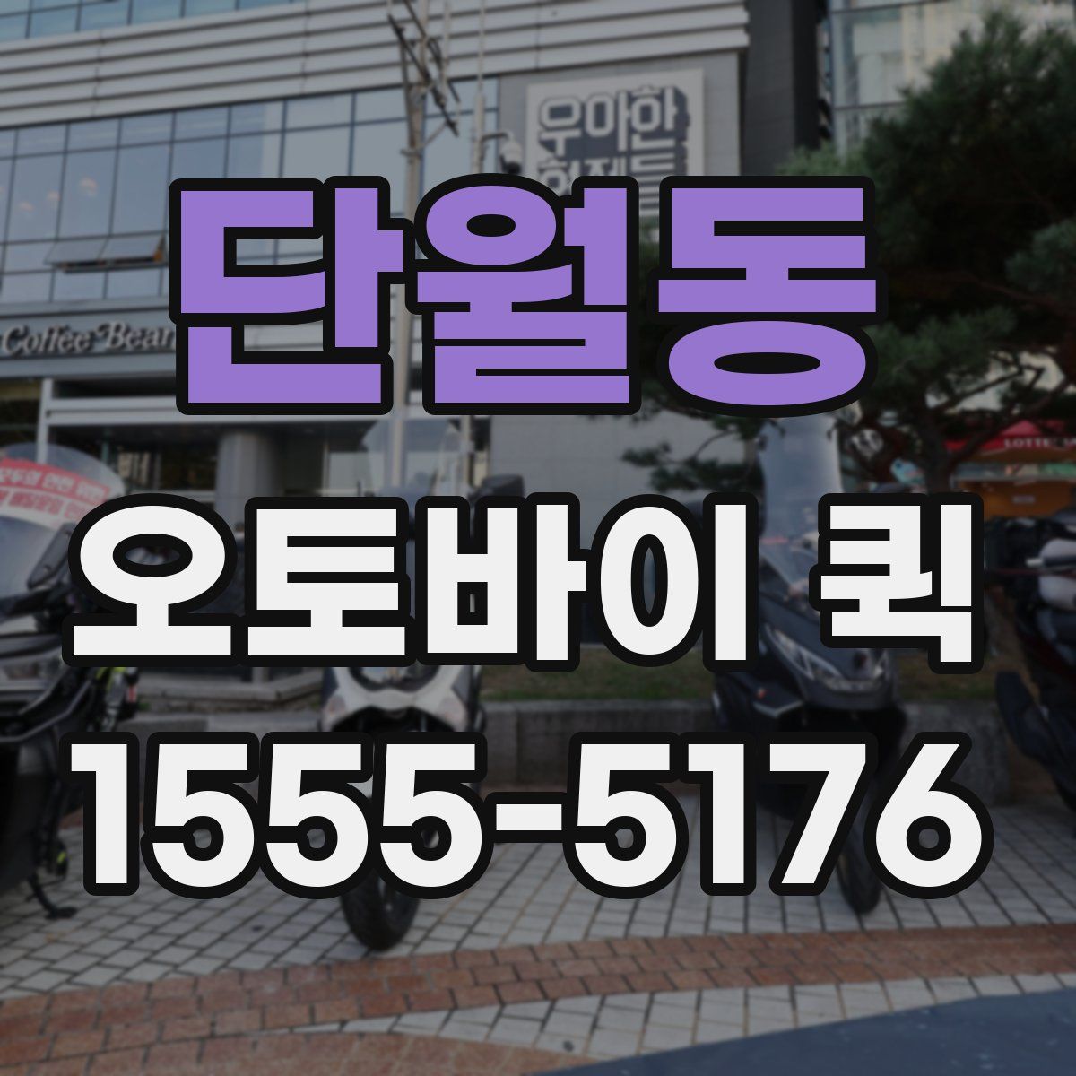 단월동 오토바이 퀵