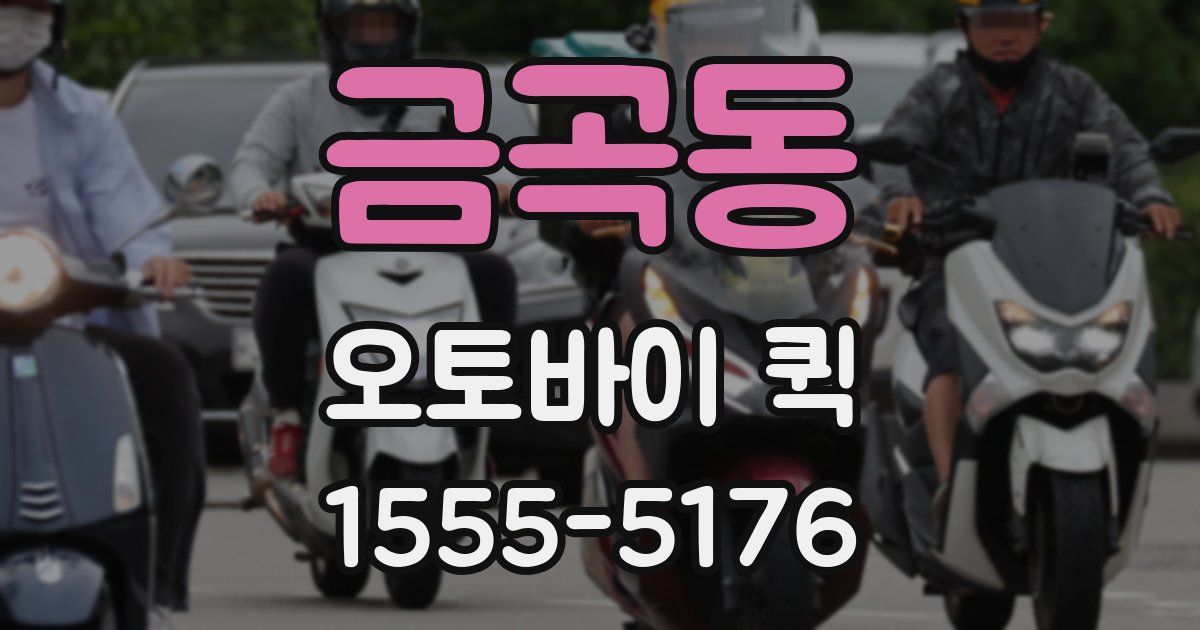 금곡동 오토바이 퀵