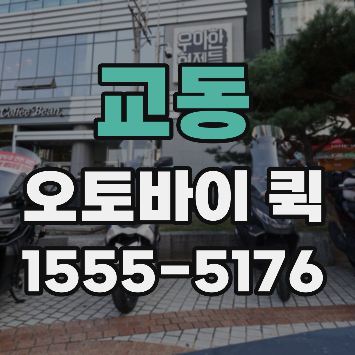 교동 오토바이 퀵