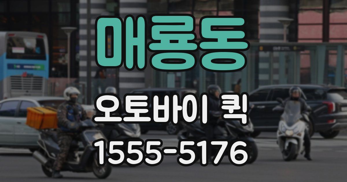 매룡동 오토바이 퀵