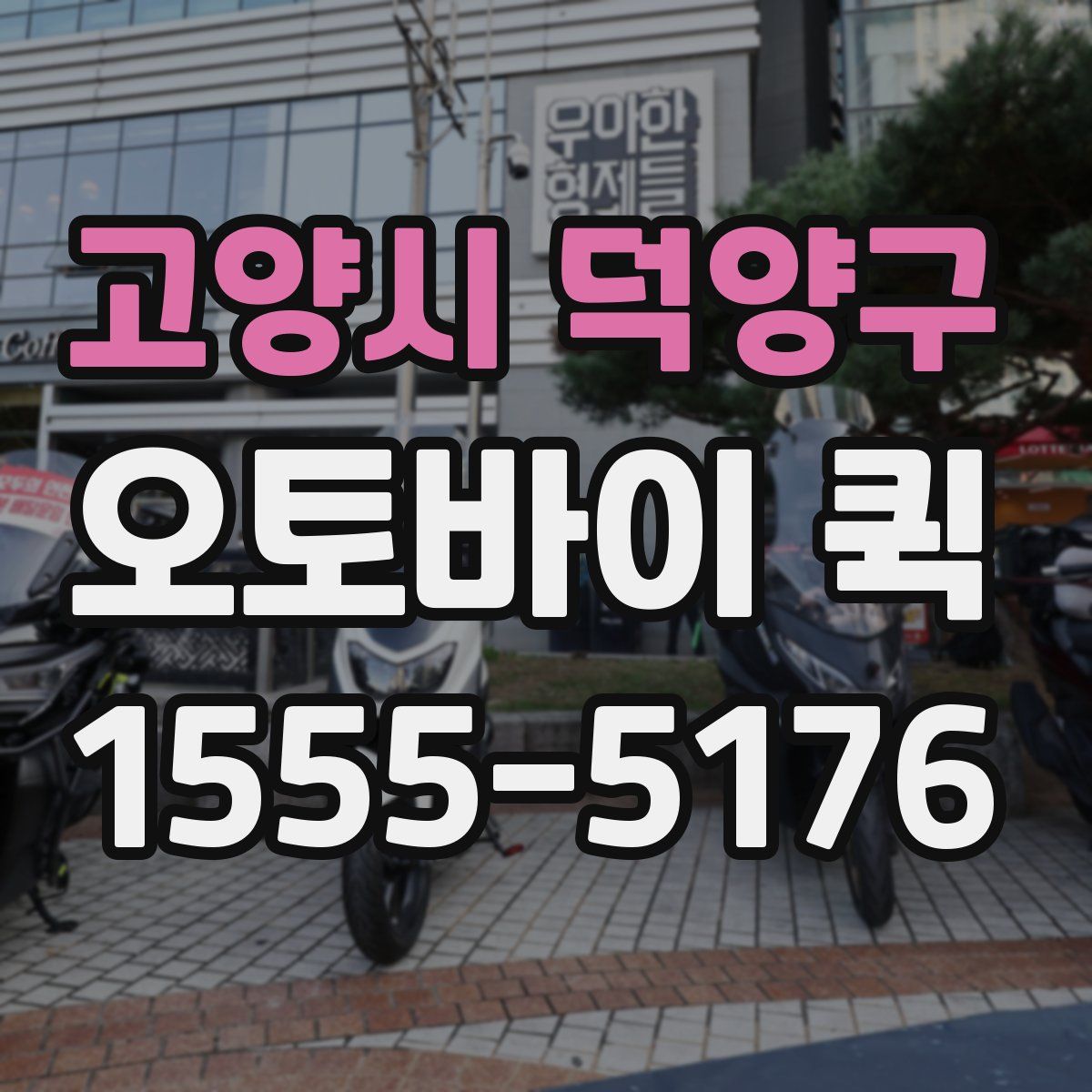고양시 덕양구 오토바이 퀵