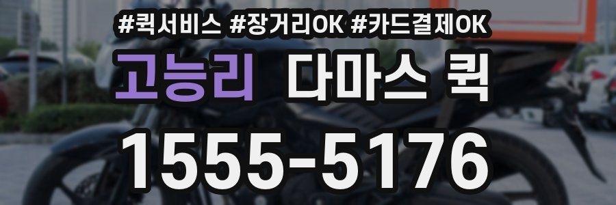 고능리 다마스 퀵