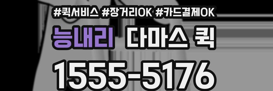 능내리 다마스 퀵