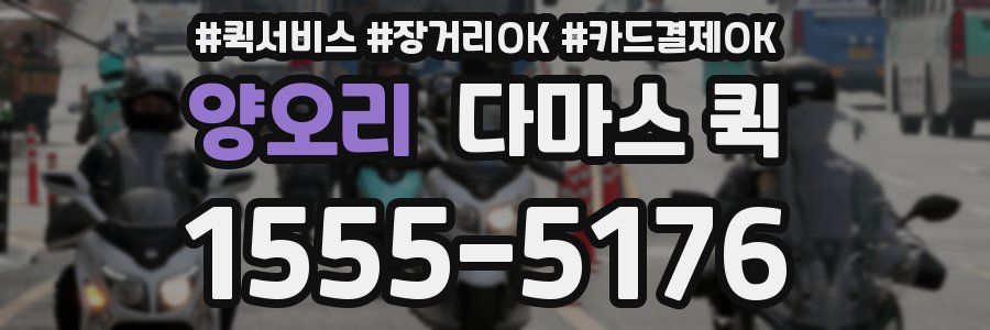 양오리 다마스 퀵