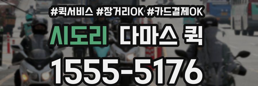 시도리 다마스 퀵