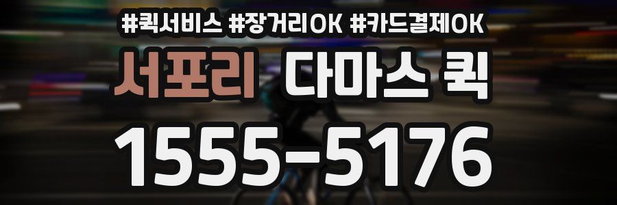 서포리 다마스 퀵