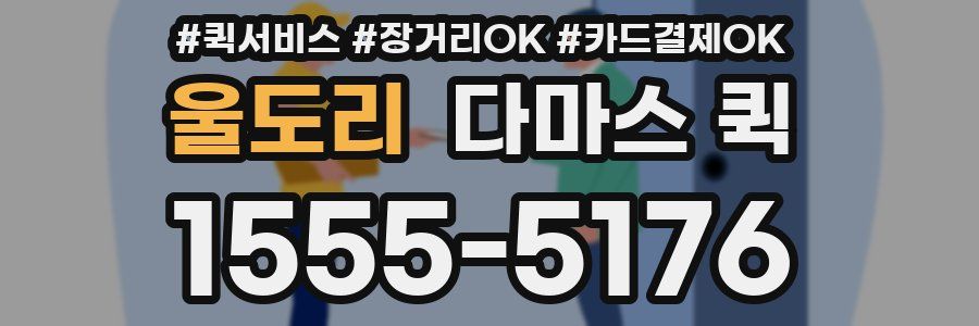 울도리 다마스 퀵