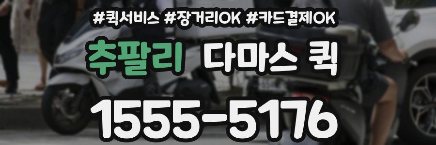 추팔리 다마스 퀵