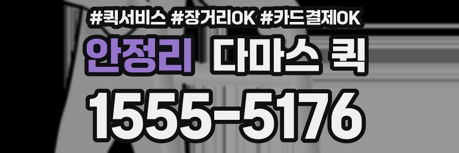 안정리 다마스 퀵