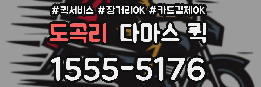 도곡리 다마스 퀵