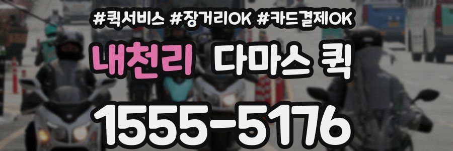 내천리 다마스 퀵