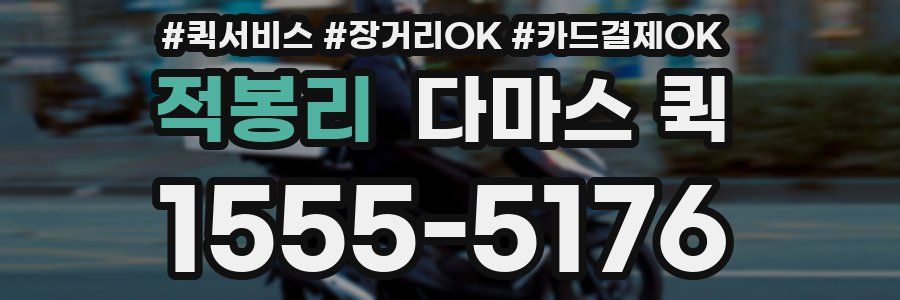 적봉리 다마스 퀵