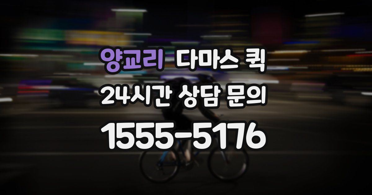 양교리 다마스 퀵