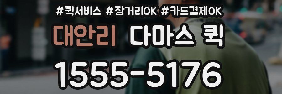 대안리 다마스 퀵