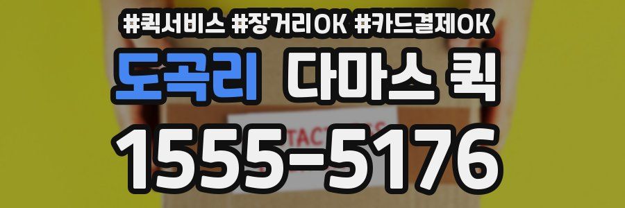 도곡리 다마스 퀵