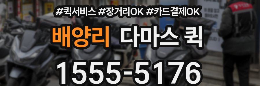 배양리 다마스 퀵