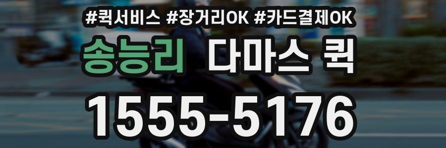 송능리 다마스 퀵