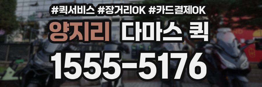 양지리 다마스 퀵