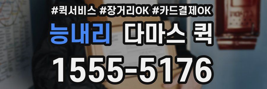 능내리 다마스 퀵