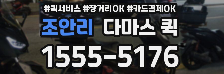 조안리 다마스 퀵