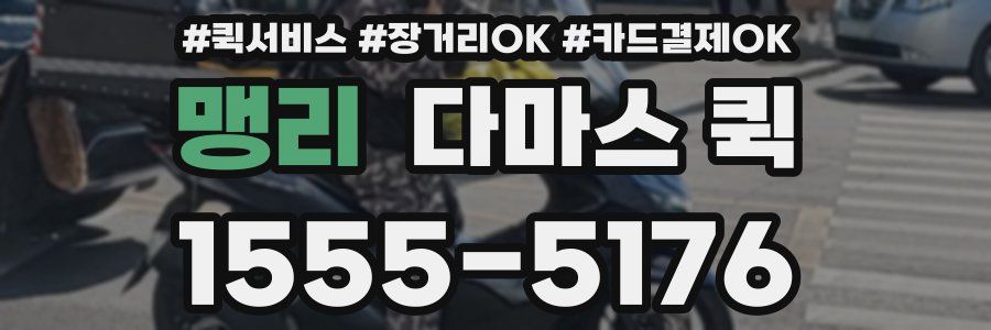 맹리 다마스 퀵