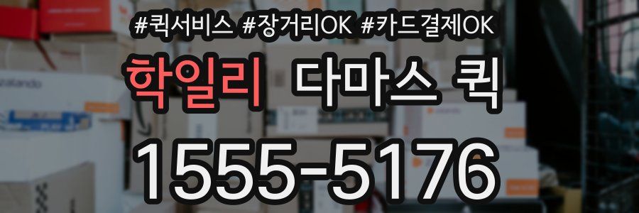 학일리 다마스 퀵