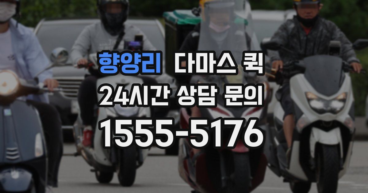 향양리 다마스 퀵