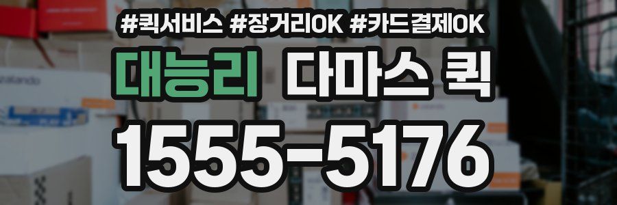 대능리 다마스 퀵