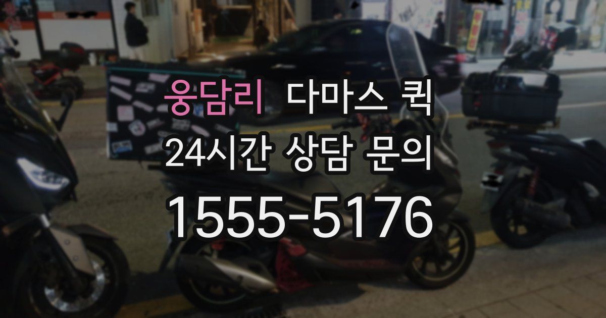 웅담리 다마스 퀵