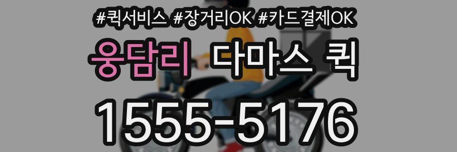 웅담리 다마스 퀵