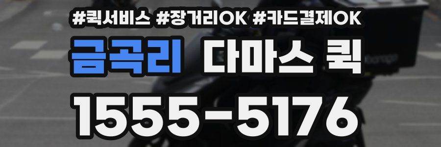 금곡리 다마스 퀵