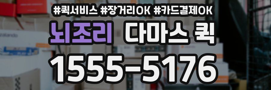 뇌조리 다마스 퀵