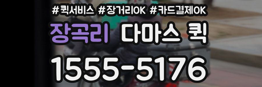 장곡리 다마스 퀵