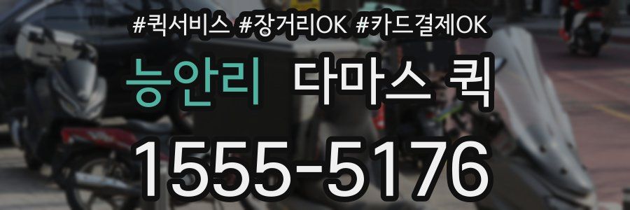 능안리 다마스 퀵