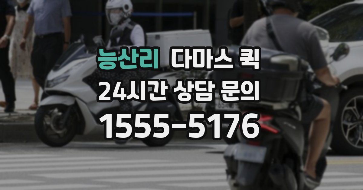 능산리 다마스 퀵