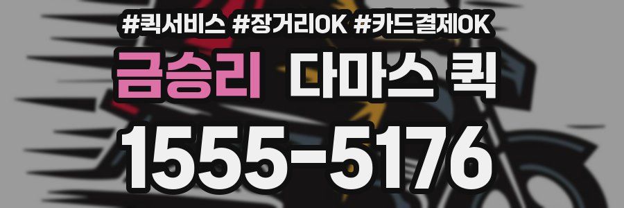 금승리 다마스 퀵