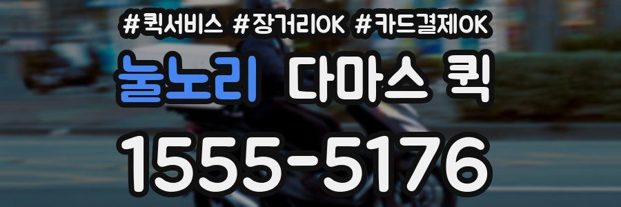 눌노리 다마스 퀵