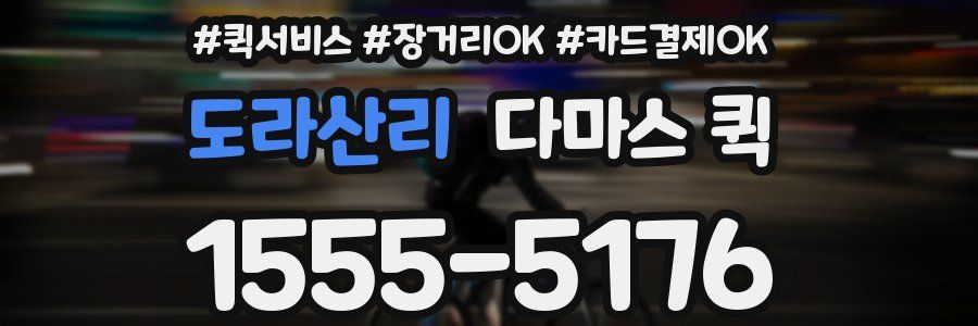 도라산리 다마스 퀵