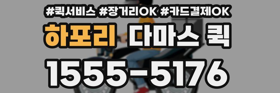 하포리 다마스 퀵