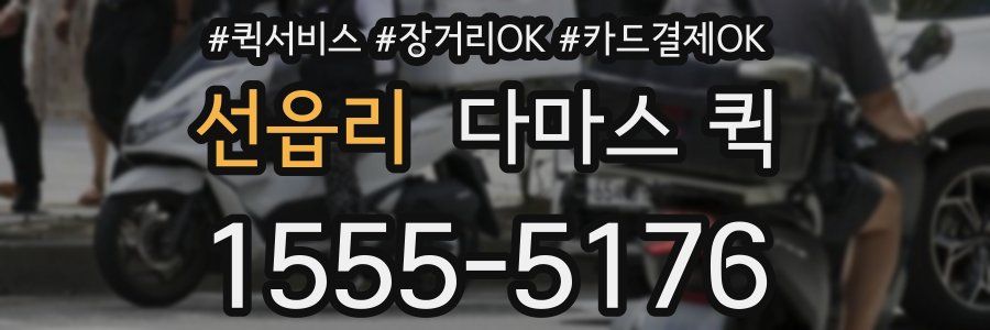 선읍리 다마스 퀵